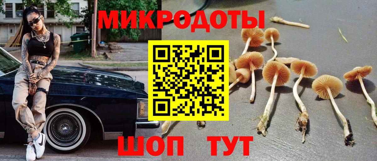 Галлюциногенные грибы Psilocybe  Вход с VPN  Саяногорск  Псилоцибиновые грибы Psilocybe 